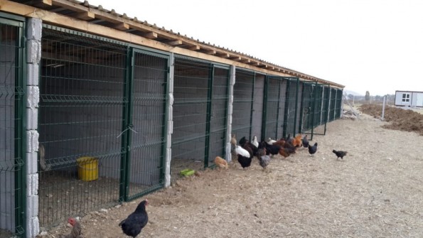 kılıç tel örgü kapı uygulamaları 22